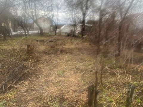 derevnya-rekshino-gorodskoy-okrug-bor фото