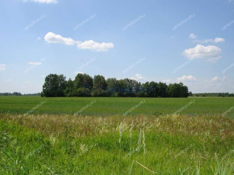 земельный участок 10 соток Мирная улица село Безводное