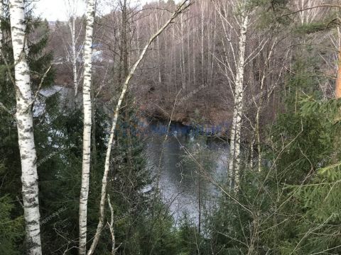 2-komnatnaya-derevnya-varvarskoe-gorodeckiy-rayon фото