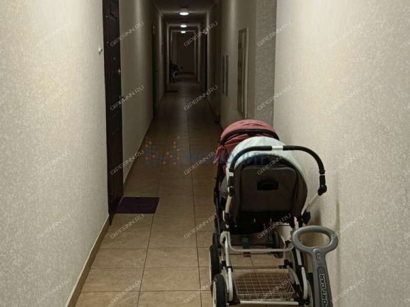 однокомнатная квартира на Русской улице улице дом 5 деревня Анкудиновка