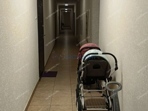 1-komnatnaya-derevnya-ankudinovka-kstovskiy-rayon фото