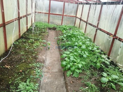 dacha-gorod-bor-gorodskoy-okrug-bor фото