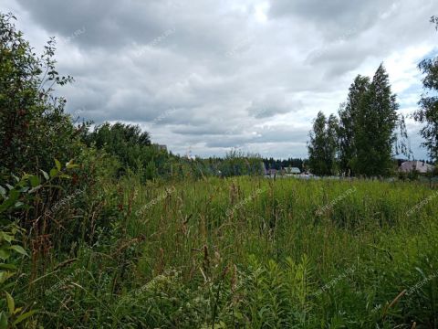 derevnya-vysokovo-bogorodskiy-municipalnyy-okrug фото