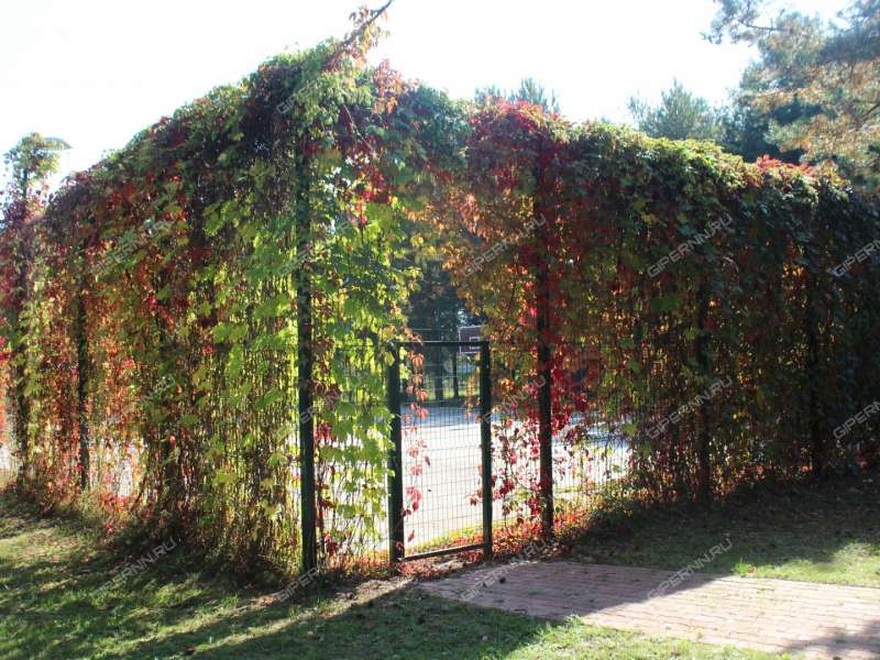 имущественный комплекс под недвижимость под гостиничный бизнес на  деревня Хмелевка