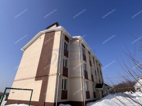 1-komnatnaya-poselok-okskiy-bogorodskiy-municipalnyy-okrug фото