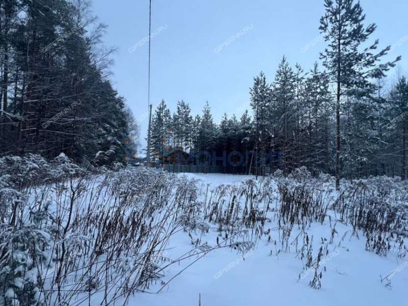 земельный участок под сельхоз назначение в Городецком районе Нижегородской области