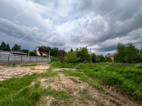 derevnya-zabore-gorodskoy-okrug-bor фото
