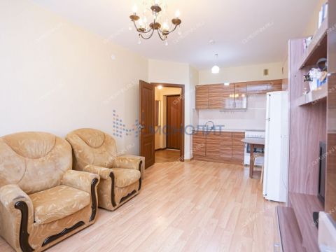 1-komnatnaya-derevnya-ankudinovka-kstovskiy-rayon фото