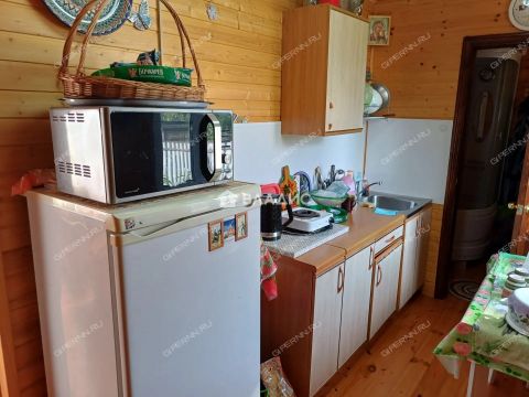 dacha-snt-avangard-gorodskoy-okrug-bor фото