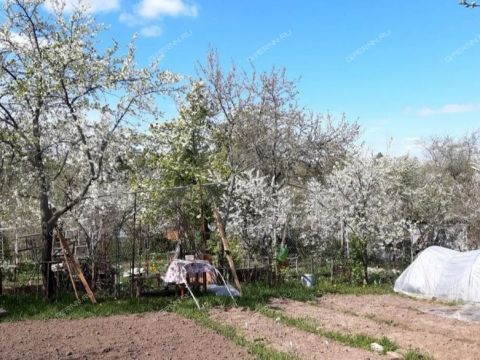 dacha-leninec-1 фото