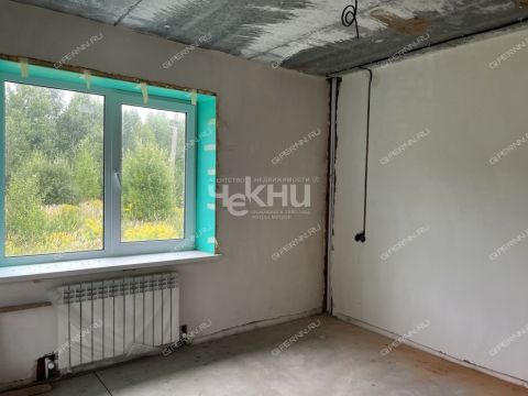 taunhaus-derevnya-studenec-kstovskiy-rayon фото