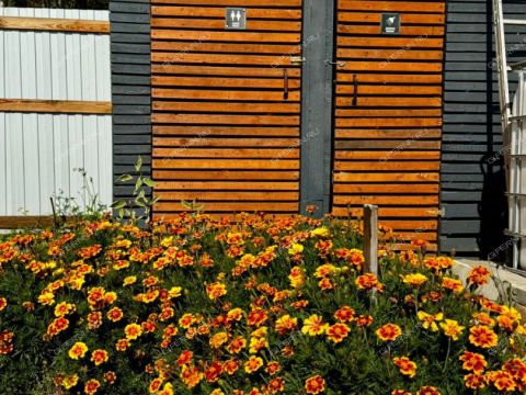 dacha-zimenki-snt-kstovskiy-rayon фото