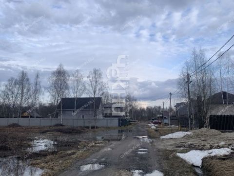 dnp-vozrozhdenie-gorodskoy-okrug-bor фото