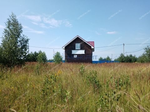 dom-derevnya-nepecino-bogorodskiy-municipalnyy-okrug фото