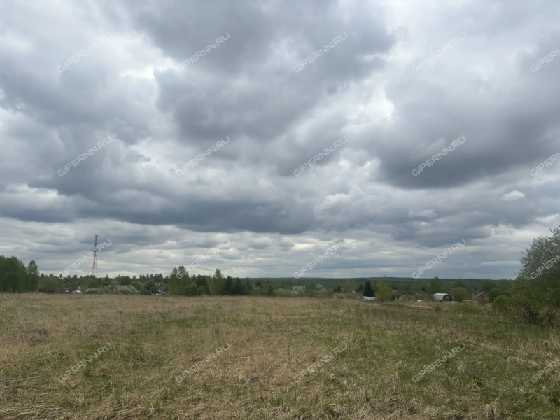 земельный участок 12,5 сотки деревня Кременки