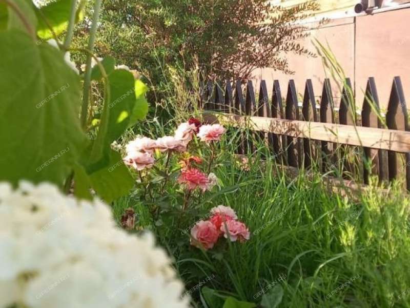 дача на Луговая деревня Яблоново