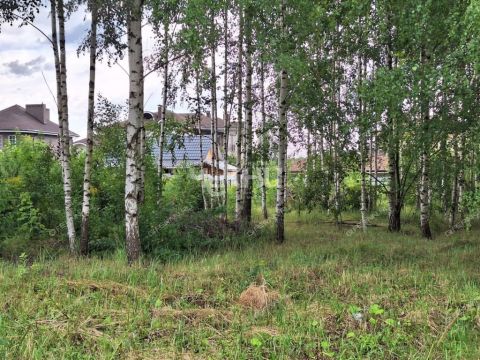 novinskiy-selsovet фото