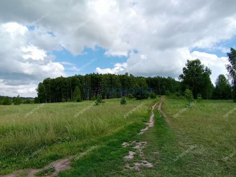 земельный участок 10 соток Ясная улица село Ефимьево