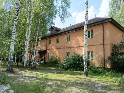selo-selskaya-maza-lyskovskiy-municipalnyy-okrug фото