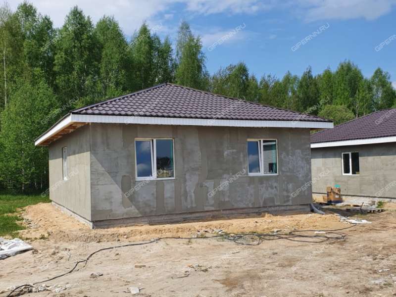 дом на Героя Демина ул. деревня Пруды