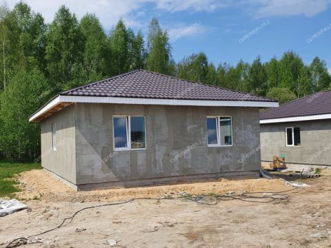 dom-derevnya-prudy-bogorodskiy-municipalnyy-okrug фото