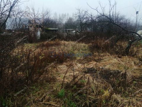 dacha-gorodskoy-okrug-bor-gorodskoy-okrug-bor фото