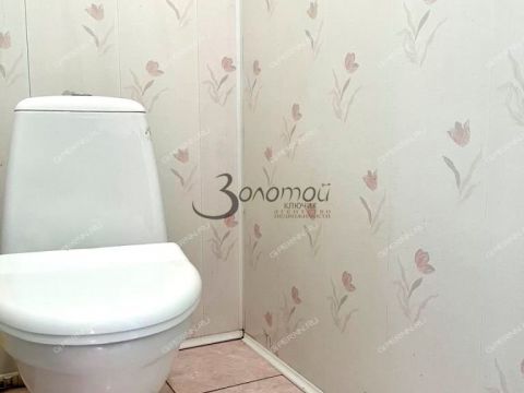 kottedzh-selo-ostankino-gorodskoy-okrug-bor фото