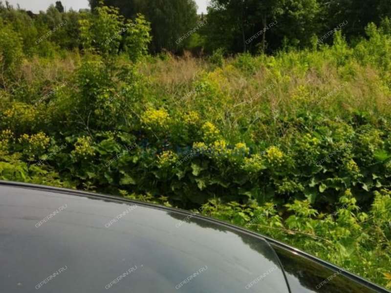 земельный участок 19 соток Верхний Конец улица село Стрелка