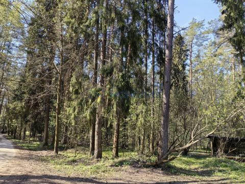2-komnatnaya-zelenyy-gorod-kp-kstovskiy-rayon фото