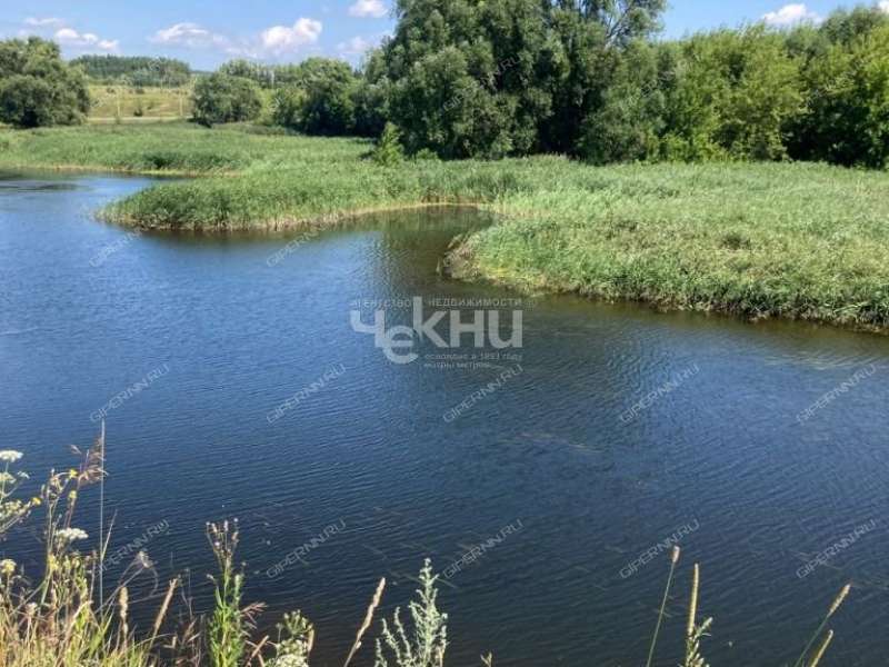 дом на Ново Луговая рабочий посёлок Большое Мурашкино