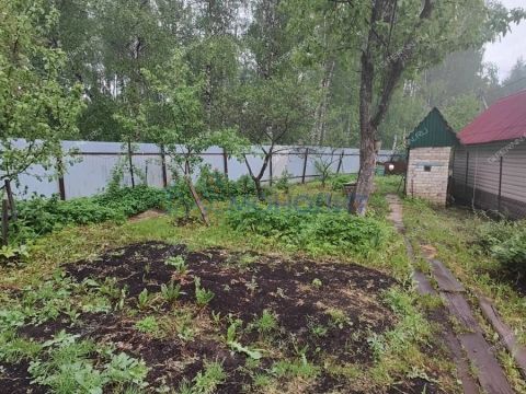 dacha фото