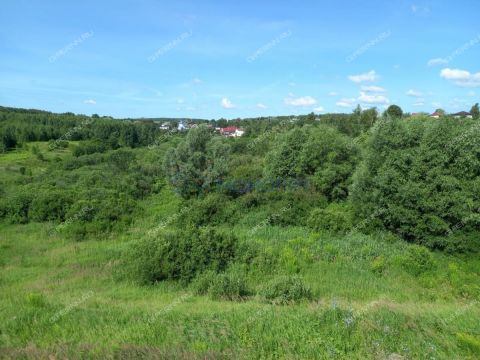 selo-doskino-bogorodskiy-municipalnyy-okrug фото