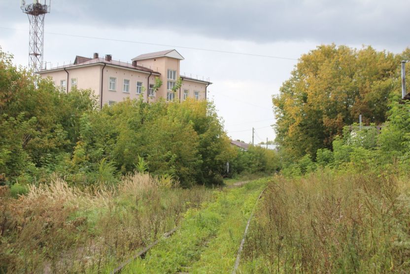 Фото: Ксения Ражева / gipernn.ru