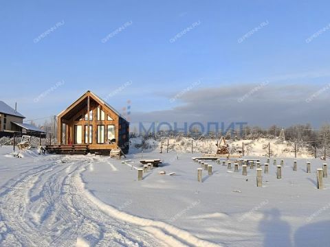 derevnya-burcevo-bogorodskiy-municipalnyy-okrug фото