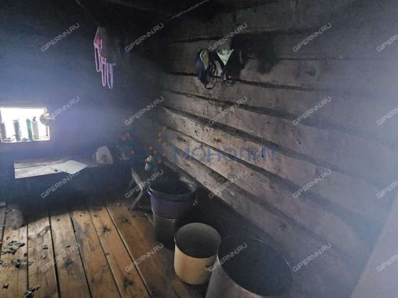 земельный участок 48,51 сотки улица 40 лет Победы деревня Пияичное