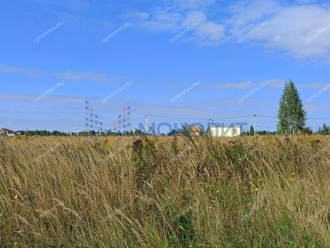 derevnya-burcevo-bogorodskiy-municipalnyy-okrug фото