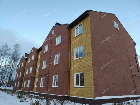 2-komnatnaya-poselok-selekcionnoy-stancii-kstovskiy-rayon фото