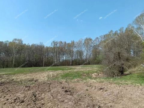 derevnya-shumilovo-bogorodskiy-municipalnyy-okrug фото