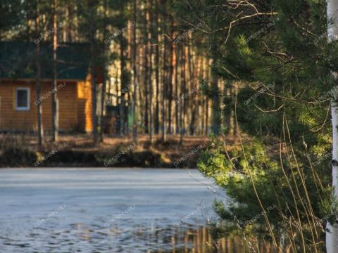 dom-poselok-kerzhenec-gorodskoy-okrug-bor фото