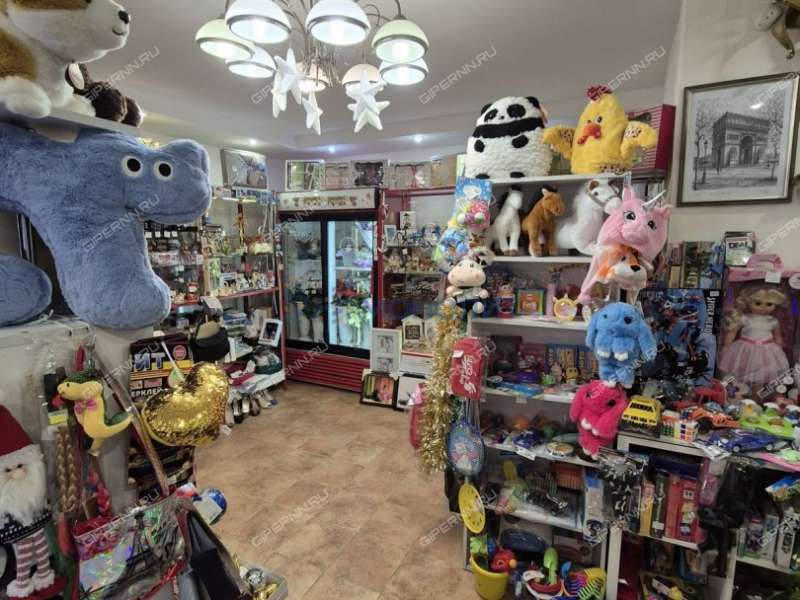 арендный бизнес помещение в жилом доме в городском округе Чкаловск Нижегородской области