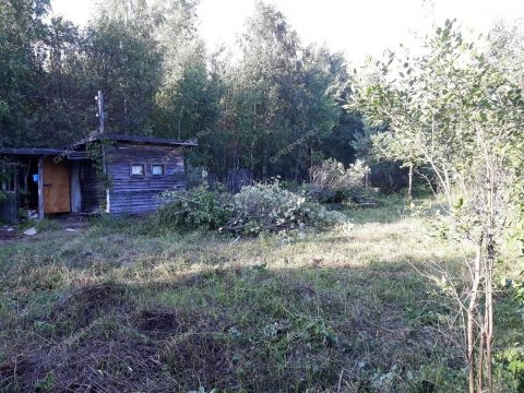 dom-snt-kalinka-gorodskoy-okrug-bor фото