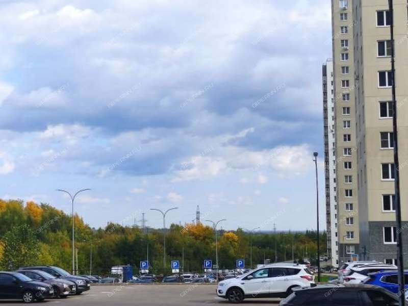 двухкомнатная квартира на Русской улице улице дом 7 деревня Анкудиновка