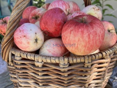 dom-derevnya-drozdovo-kantaurovskiy-selsovet-gorodskoy-okrug-bor фото