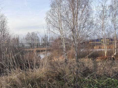 moskovskiy-rayon фото