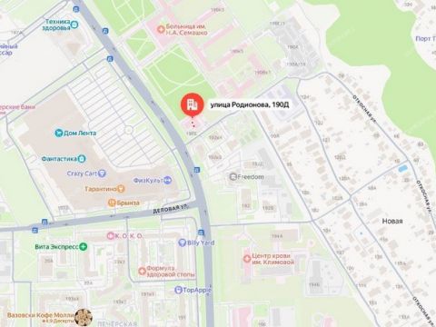 ul-rodionova-d-190d фото