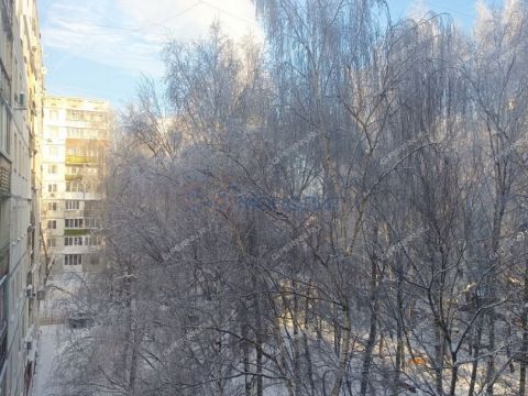 3-komnatnaya-ul-marshala-golovanova-d-39 фото