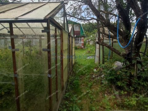 dacha-snt-tyulpan-derevnya-lapshiha-dalnekonstantinovskiy-rayon фото