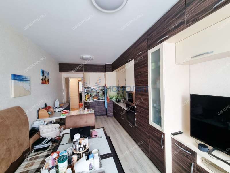 четырёхкомнатная квартира на Русской улице улице дом 9 деревня Анкудиновка