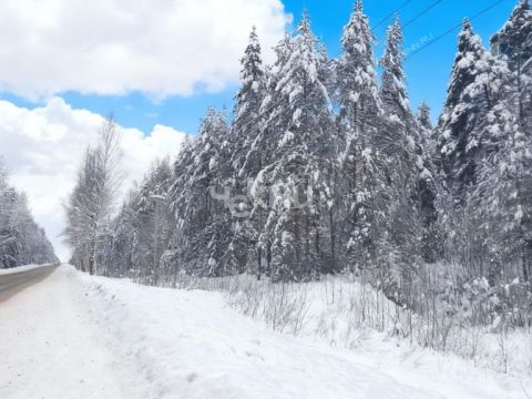 dom-derevnya-korobovo-fedurinskiy-selsovet-gorodeckiy-rayon фото