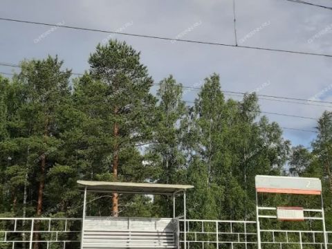 dacha-snt-n8-oao-gaz-gorodskoy-okrug-bor фото